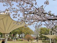 -江南大学(蠡湖校区)