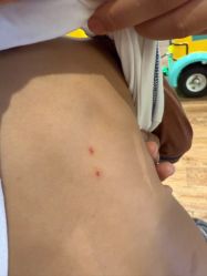 -海豹航航水育游泳中心(芳园里店)