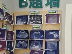 -东莞宠友24H宠物中心医院·转诊夜诊·异宠(新河北路院)