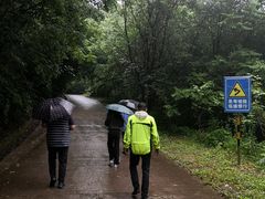 -五女峰国家森林公园