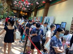 -杭州开元森泊度假乐园