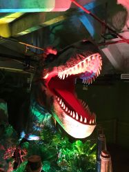 -恐龙探索乐园(磁器口店)