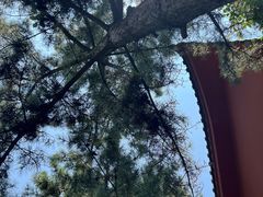 -石岛赤山风景区