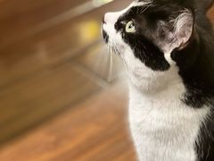 -路易时光(蕴川路店)