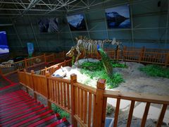 -中国第四纪冰川遗迹陈列馆