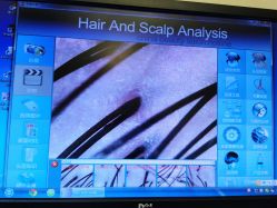 -时尚殿堂hair salon