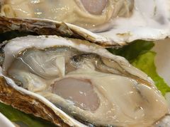 生蚝-金龙·打边炉(南京西路店)