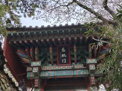 -海东龙宫寺