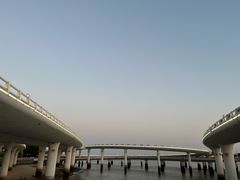 -演武大桥观景平台