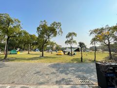 -吴淞炮台湾湿地森林公园烧烤区