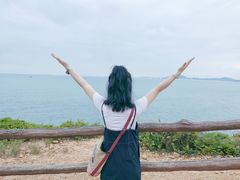 -杨梅坑