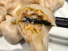猪肉大白菜水饺-鸿毛饺子(紫竹桥店)
