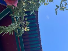 -白水寺森林公园