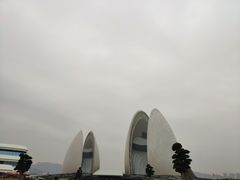 -野狸岛