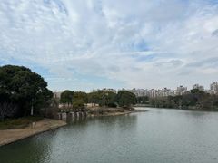-新江湾城公园