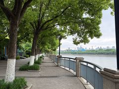 -月湖风景区