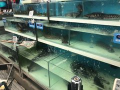 -盒马鲜生(大成店)