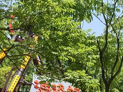 -上海滨江森林公园