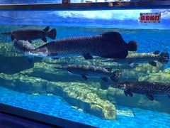 -石林冰雪海洋世界