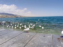 -青海湖国家重点风景名胜区