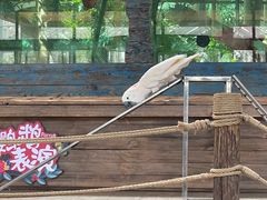 -南宫五洲植物乐园