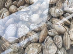 -济南海鲜大市场