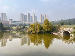 -张坝桂圆林公园