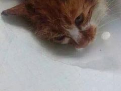 iphone_upload_pic-盛京一禾