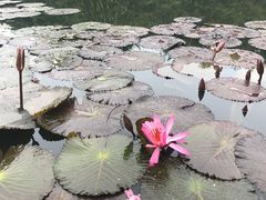 -白沙门生态公园