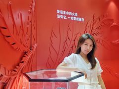 -梅龙镇广场