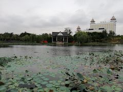 -映月湖公园