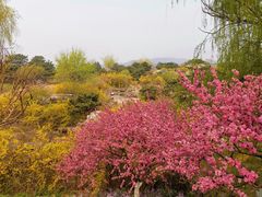 -北京西山国家森林公园