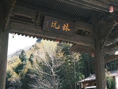 -林坑古村落