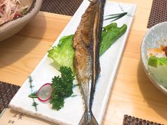 烤秋刀鱼-樱の千渡日式料理·铁板烧•烧鸟(金盛田广场店)