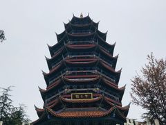 -铁山坪森林公园