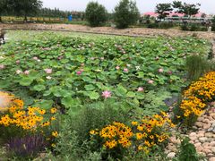 -渔岛海洋度假区