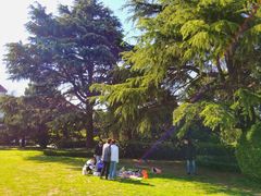 -南通博物苑-崇川人民公园