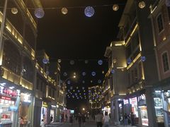 -福合埕牛肉丸(福平路店)