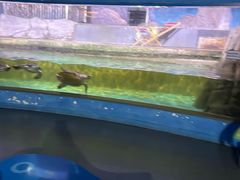 -常州海昌海洋探索馆