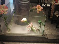 -鸽子侯·家宴·平价海鲜(市图书馆店)