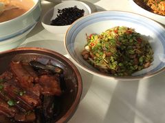 -食家鸽园