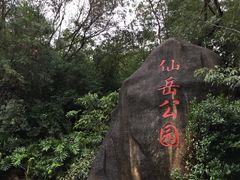 -仙岳公园