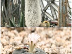 -上海辰山植物园