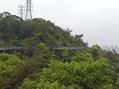 -金鸡山公园