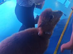 -顺德南宏海立方海洋公园