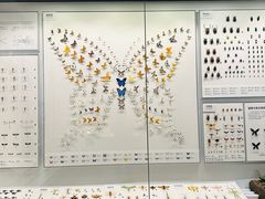 -四川大学博物馆