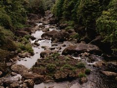 -龙苍沟森林公园