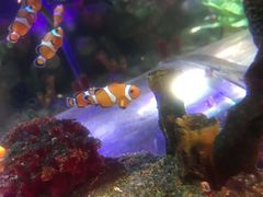 -沈阳海洋探索中心