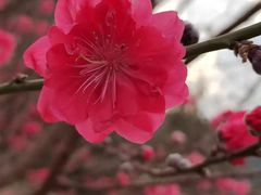 -水濂山乐民游艺园
