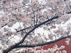 -龙美术馆(西岸馆)